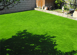 lazy lawn